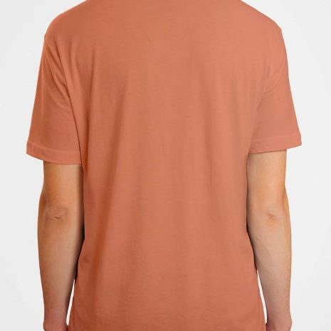 cal waves 02 min cal waves 02 min